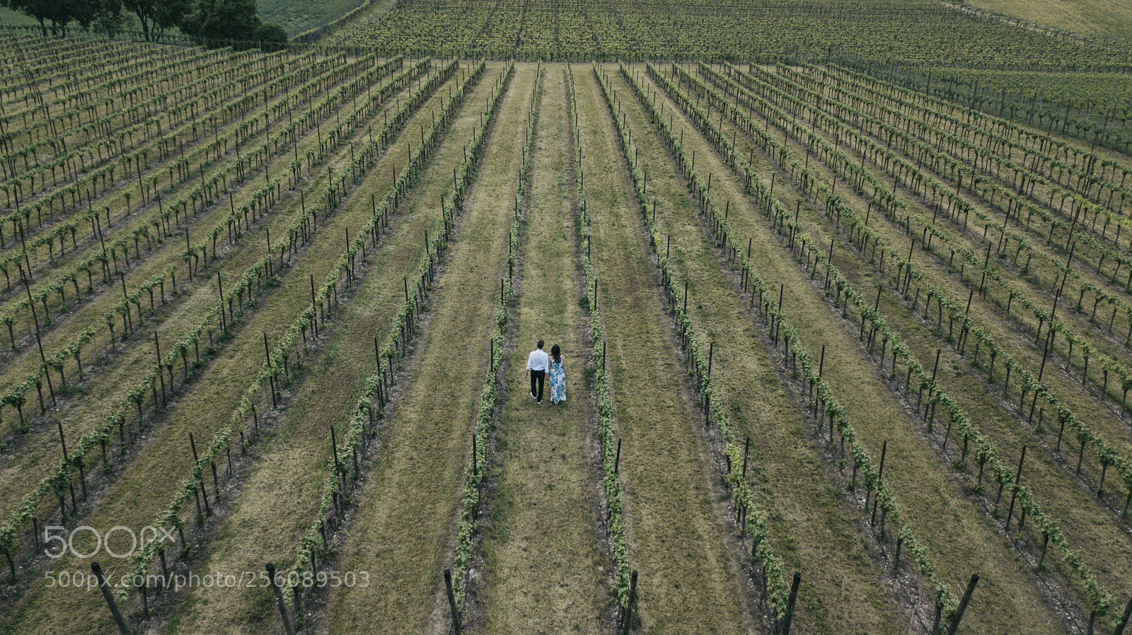 DJI FC220 sample photo. * photography