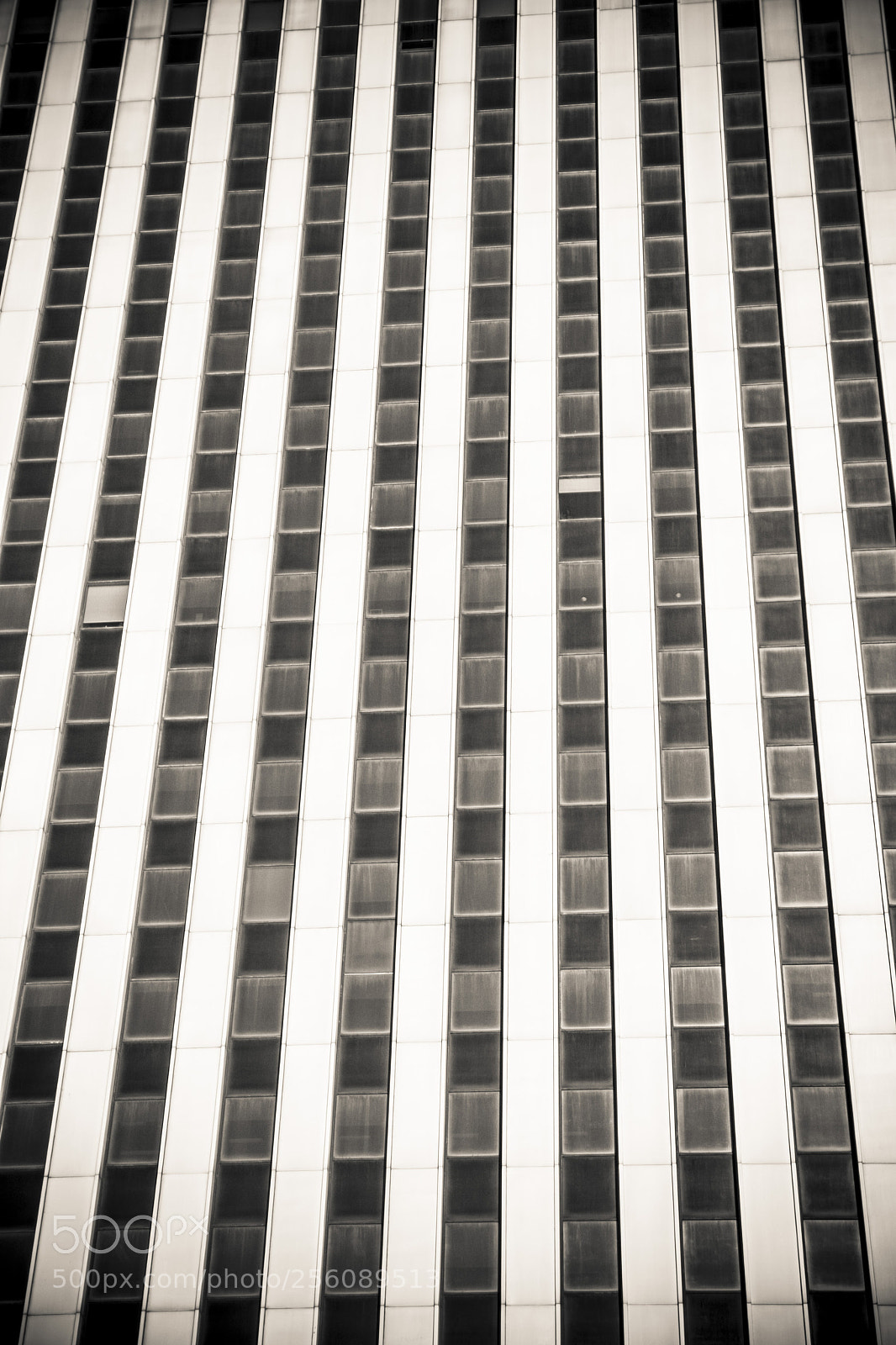 Nikon D7100 sample photo. Untitled photography