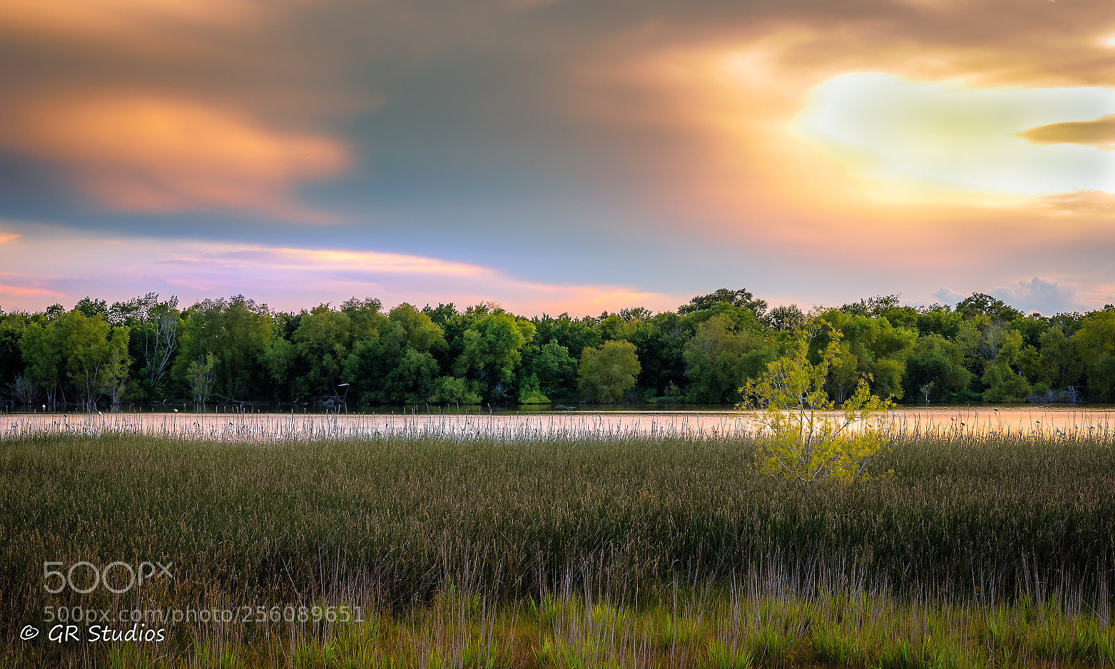 Nikon D90 sample photo. Wetlands photography