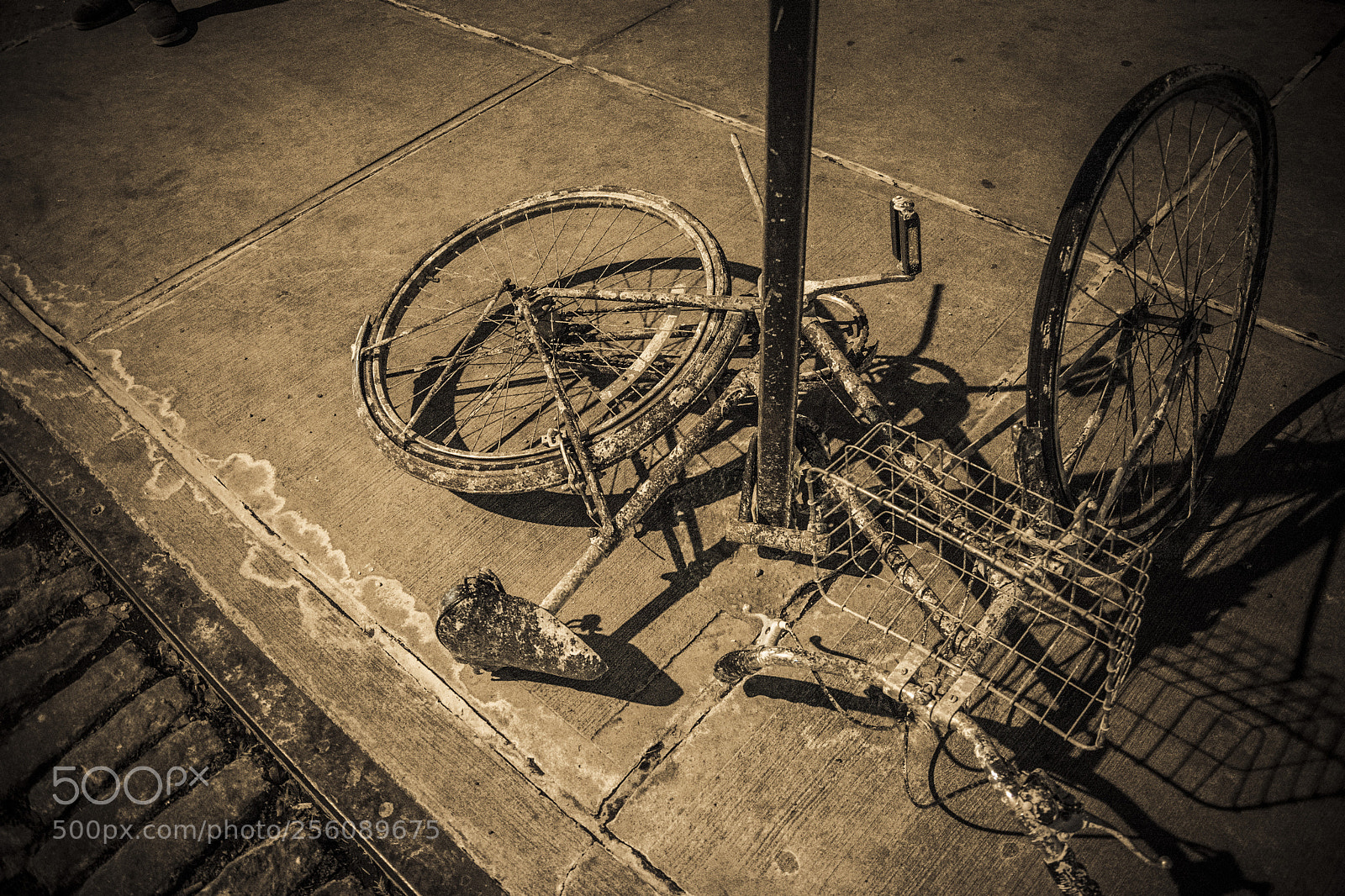Nikon D7100 sample photo. Untitled photography