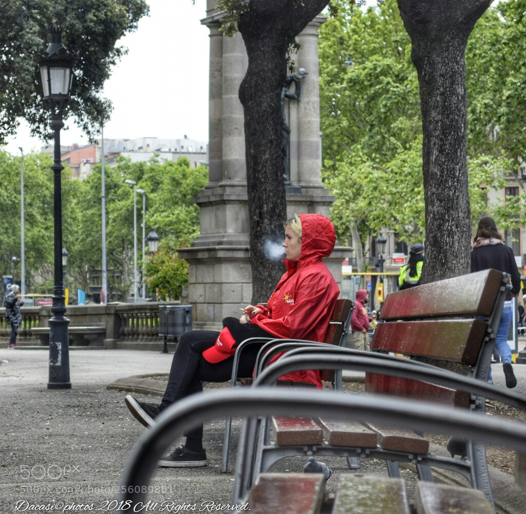 Nikon D5300 sample photo. Untitled photography