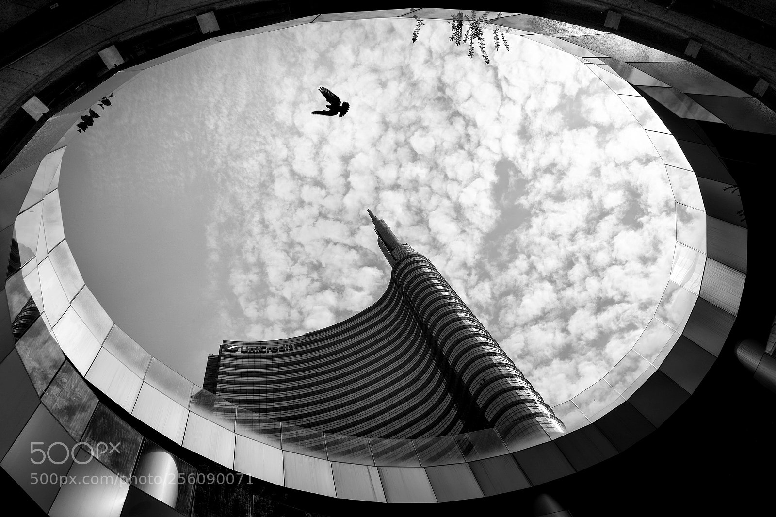 Leica Q (Typ 116) sample photo. Milan, italy photography
