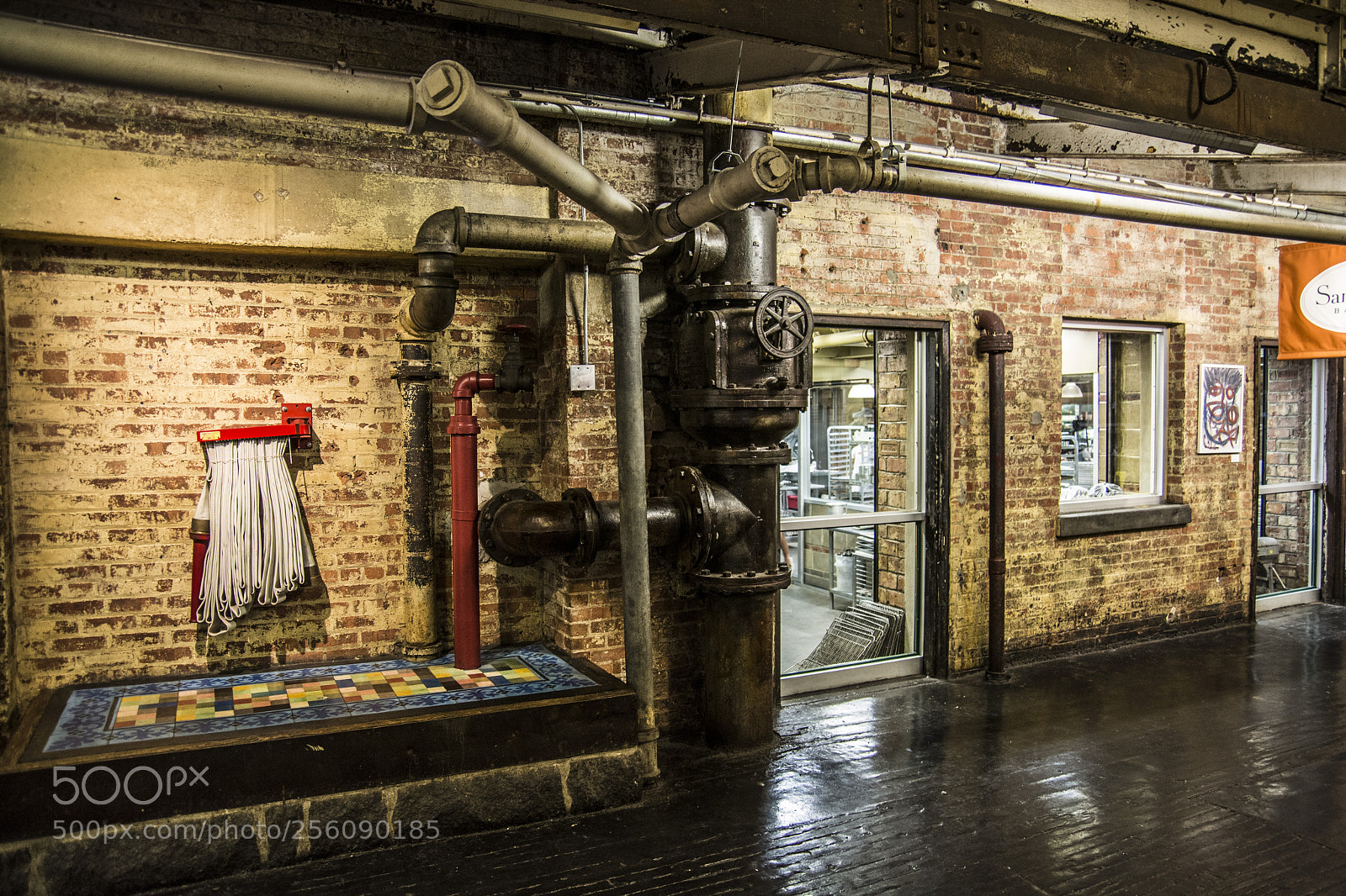 Nikon D7100 sample photo. Untitled photography
