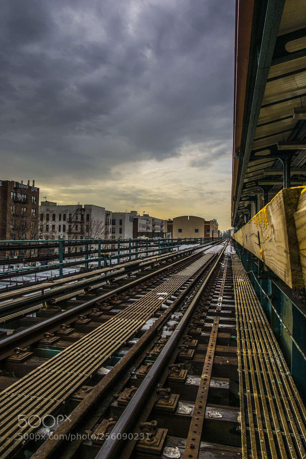 Nikon D7100 sample photo. Untitled photography