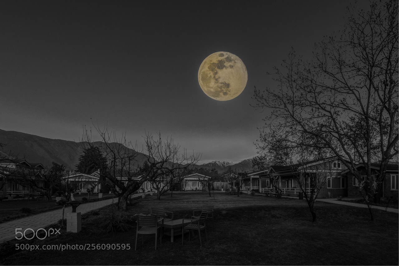 Nikon D810 sample photo. Argent radiance photography
