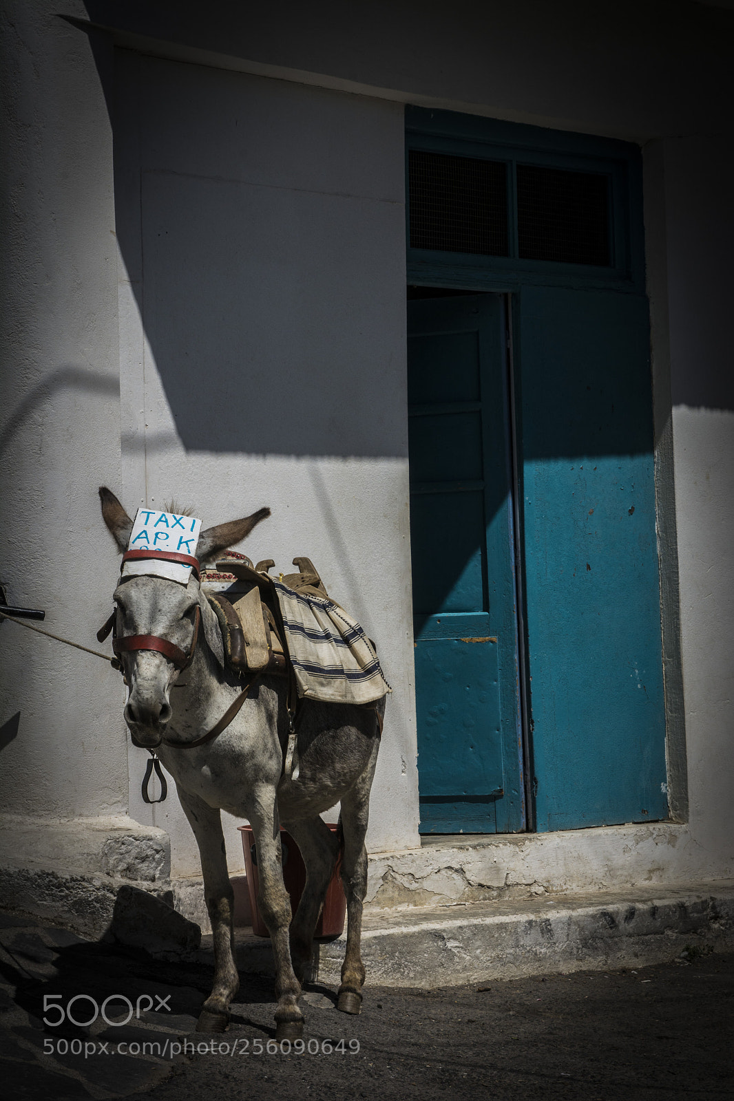 Nikon D7100 sample photo. Untitled photography