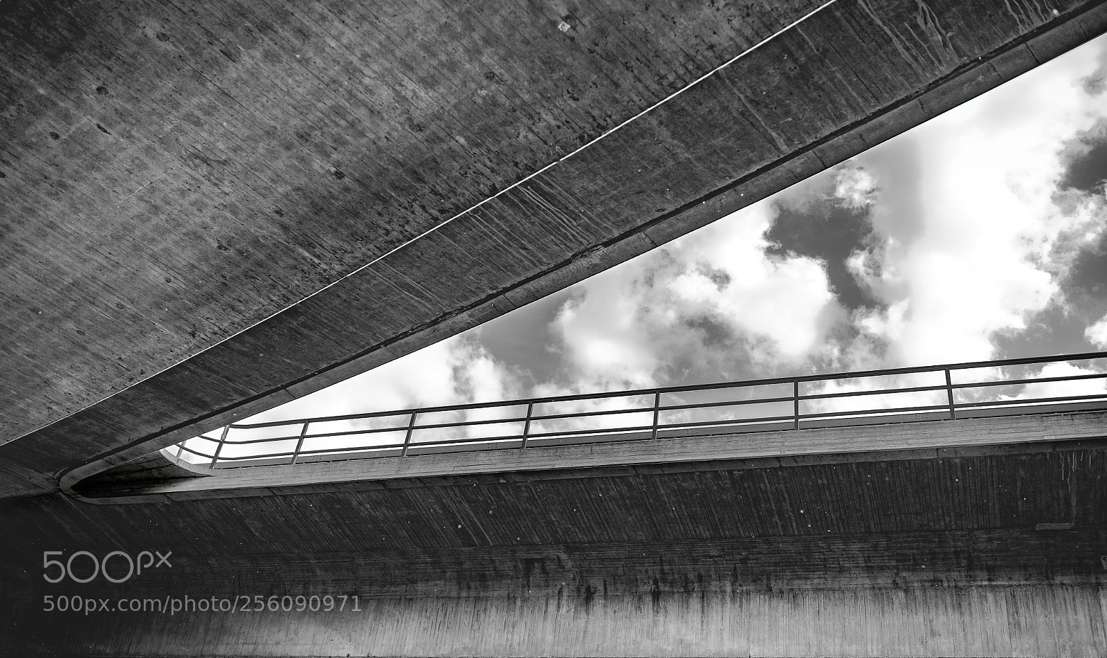 Nikon D810 sample photo. Exit seilersee bw photography