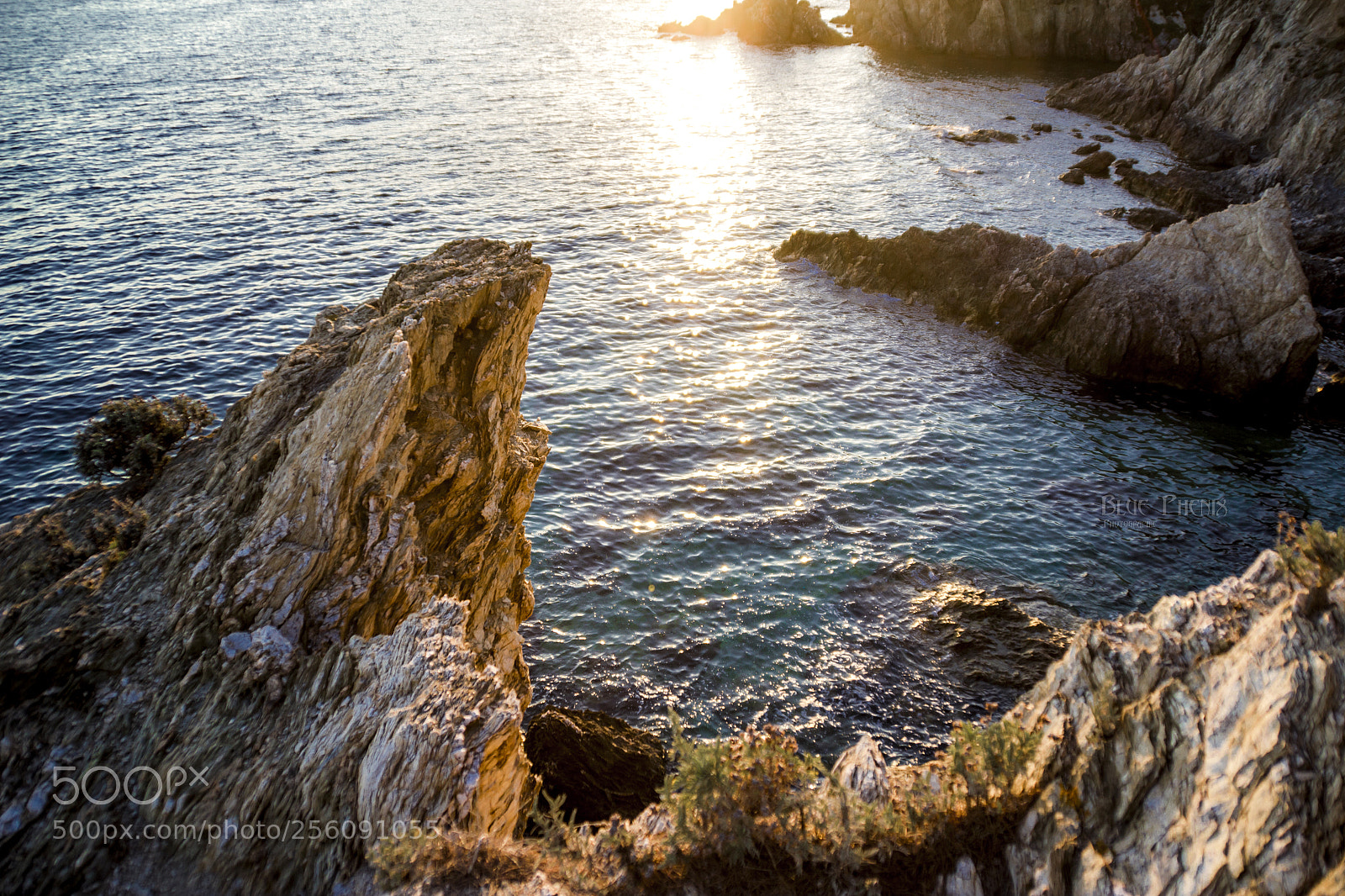 Canon EOS 550D (EOS Rebel T2i / EOS Kiss X4) sample photo. Côte d'azure .... photography