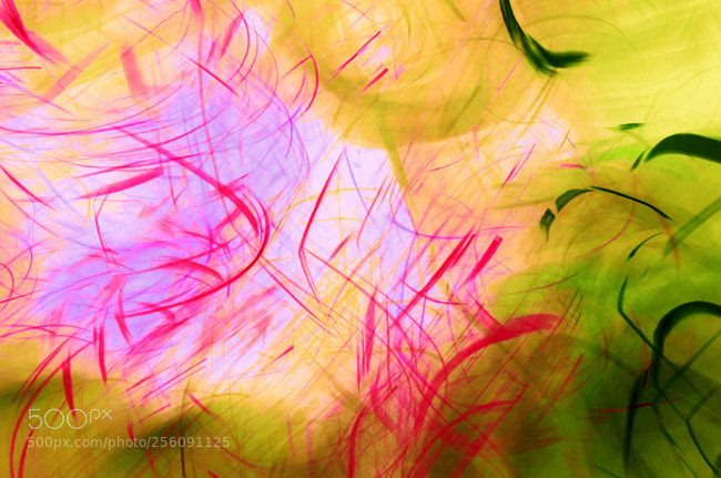 Nikon D7000 sample photo. Designer 084420 x2 photography