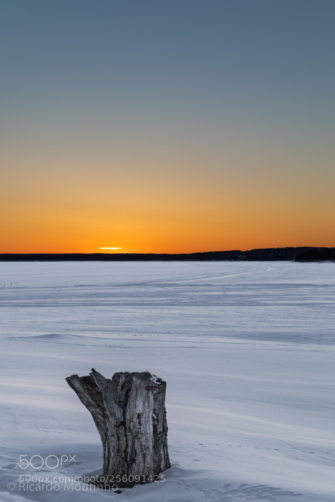 Canon EOS 5D Mark IV sample photo. Lake siljan photography