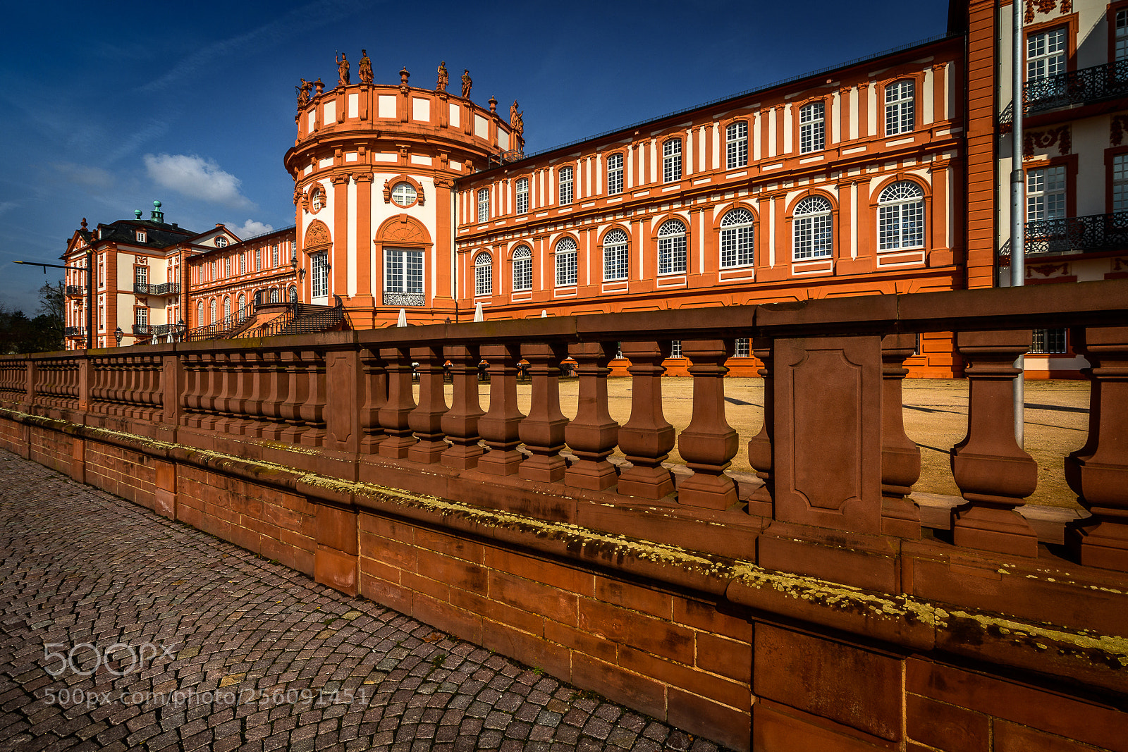 Nikon D7500 sample photo. Biebrich palace photography