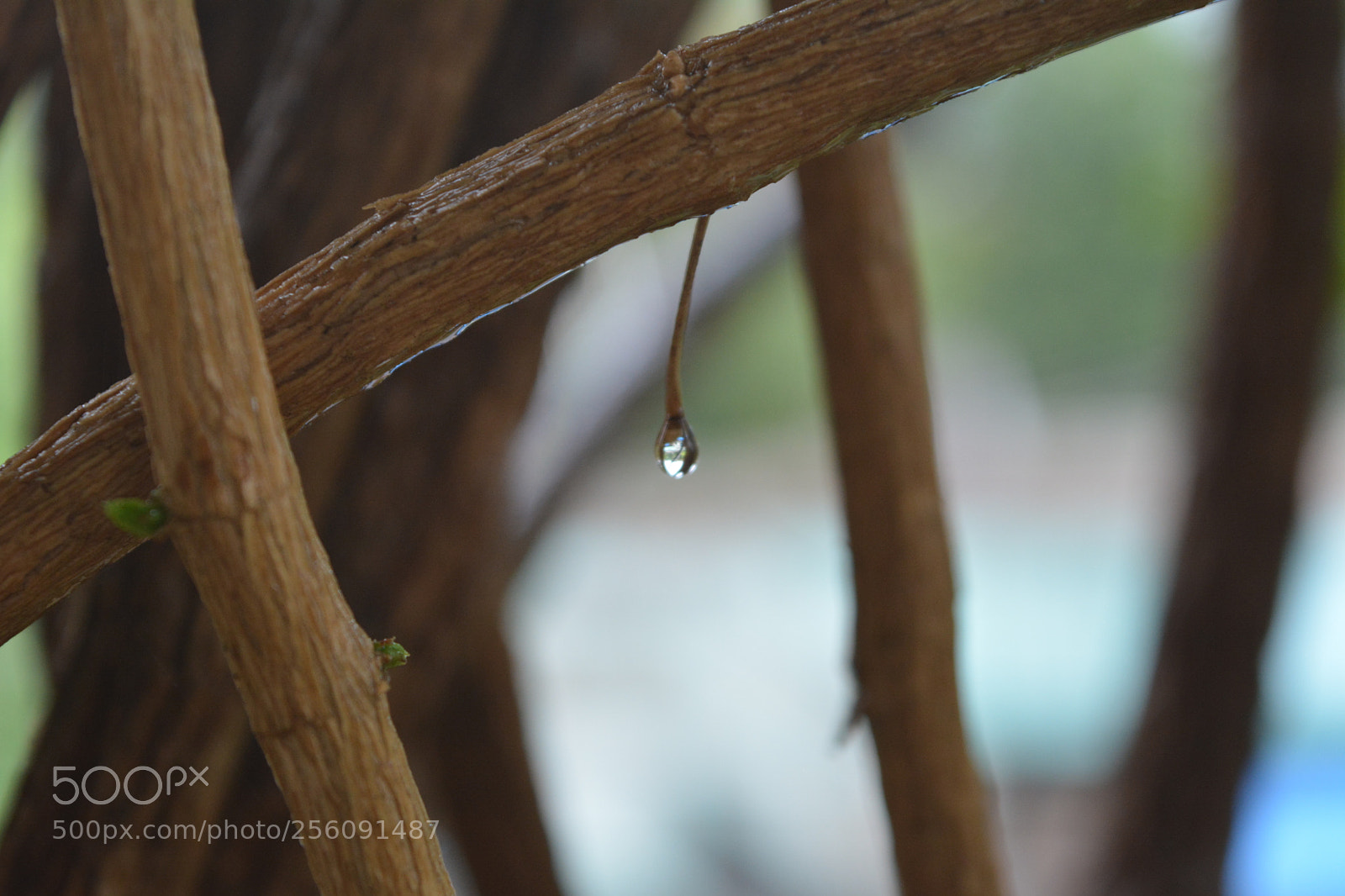 Nikon D5200 sample photo. Water drop falling from photography