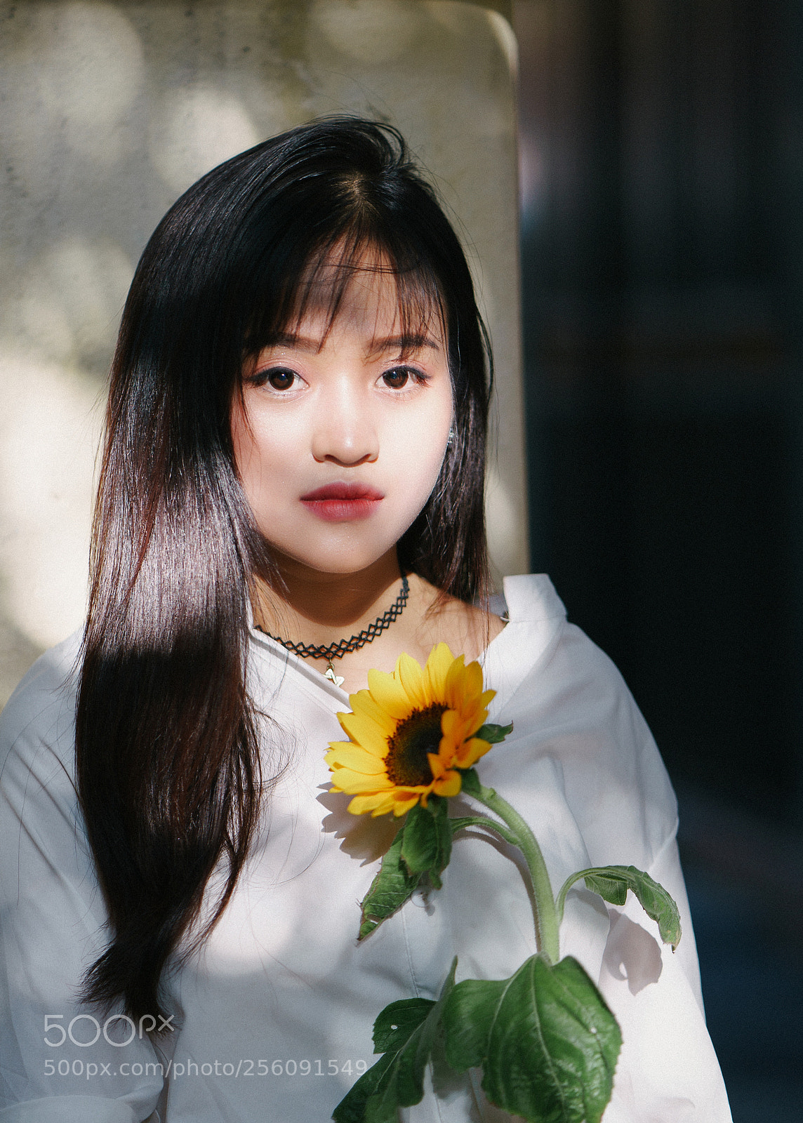 Sony a7 II sample photo. Nhu quynh photography