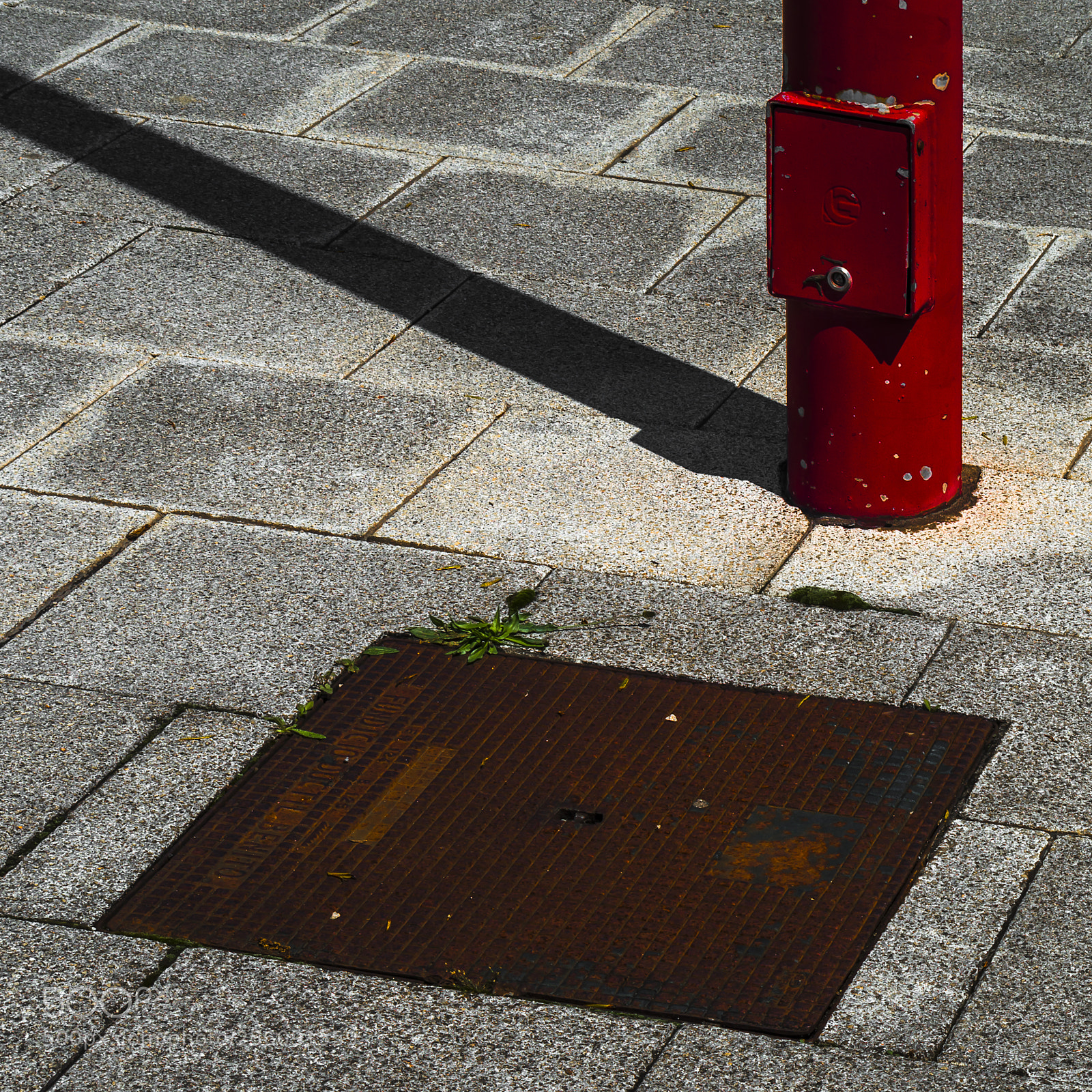 Pentax K-50 sample photo. _ photography