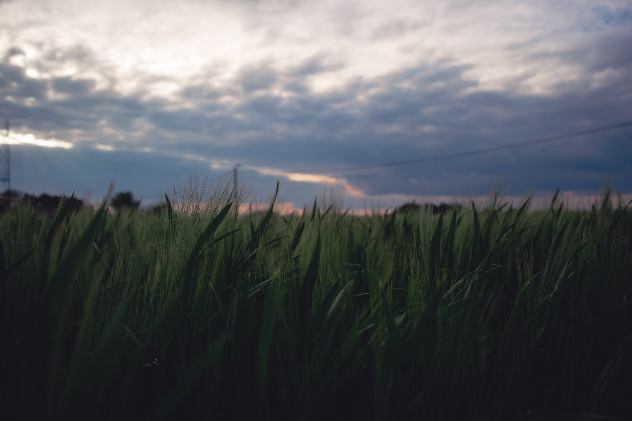 Samsung NX210 sample photo. 8o24 photography