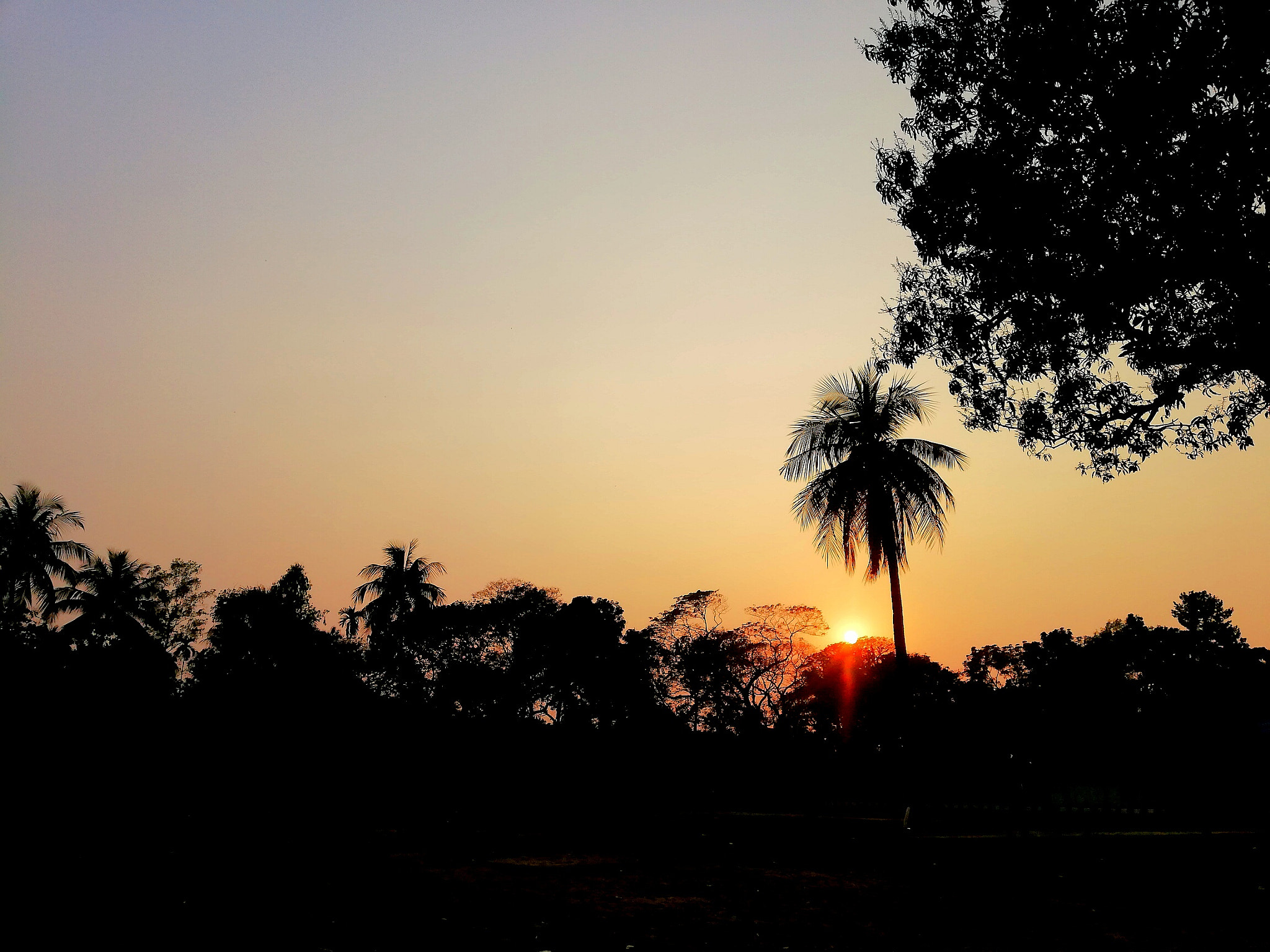 HUAWEI nova 2i sample photo
