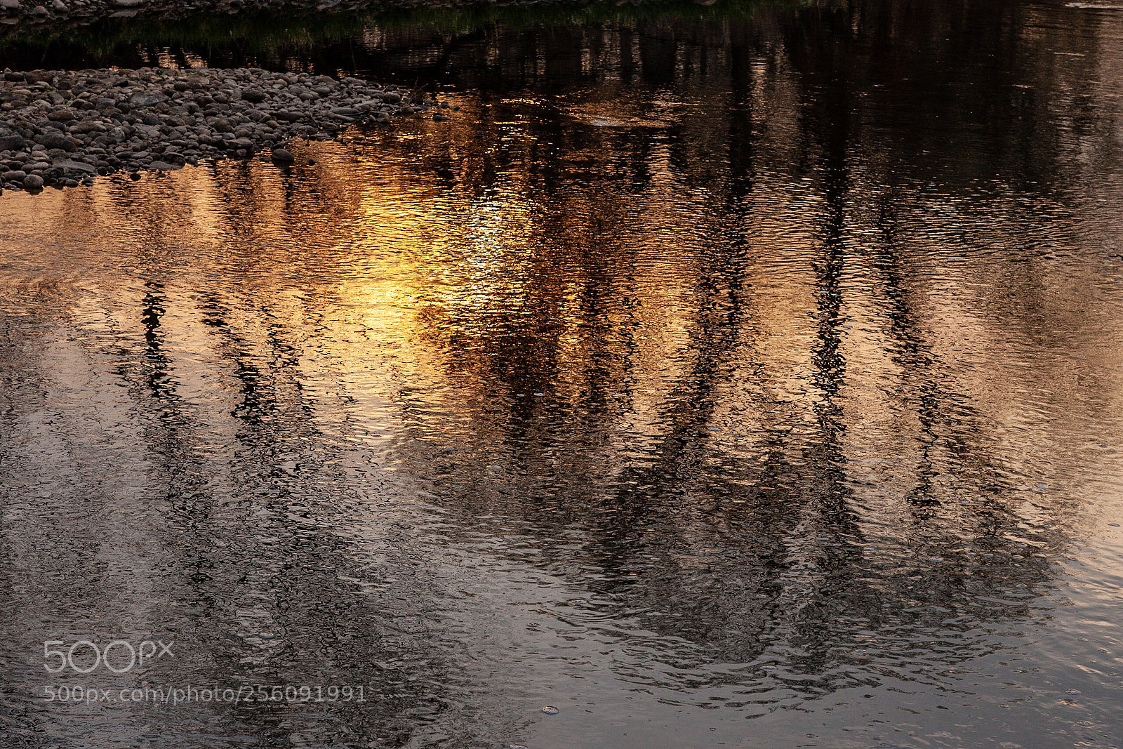 Canon EOS 5D Mark II sample photo. Golden reflections photography