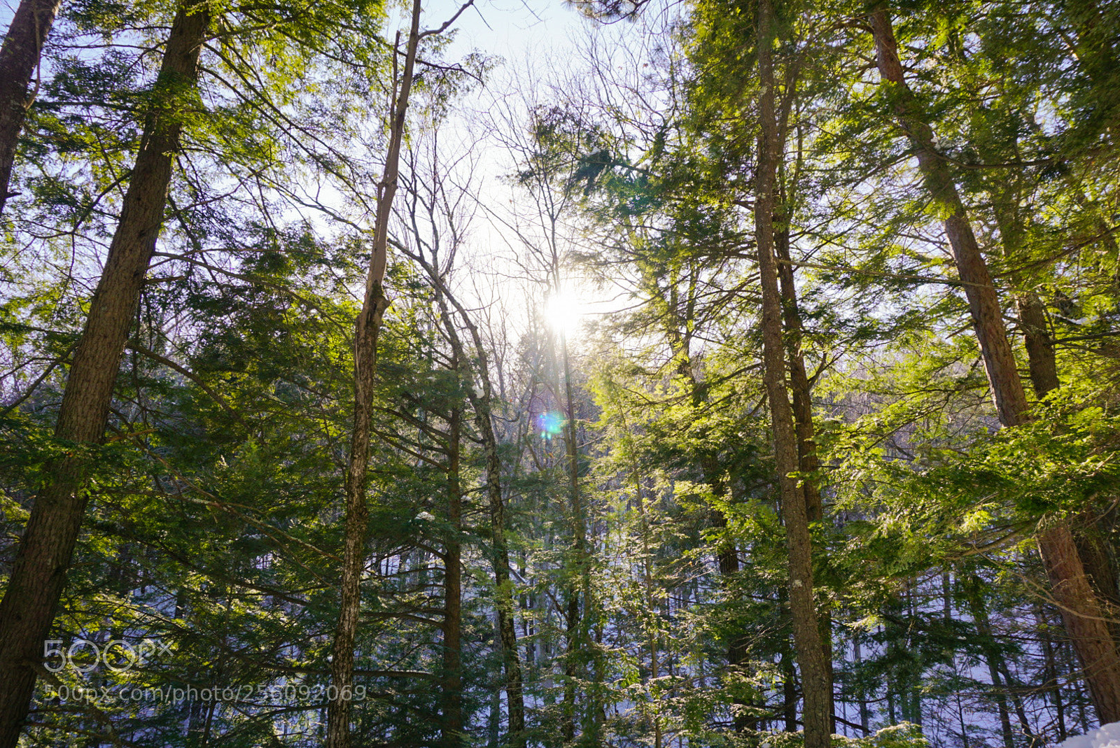 Sony a6000 sample photo. Sun breaks through the photography