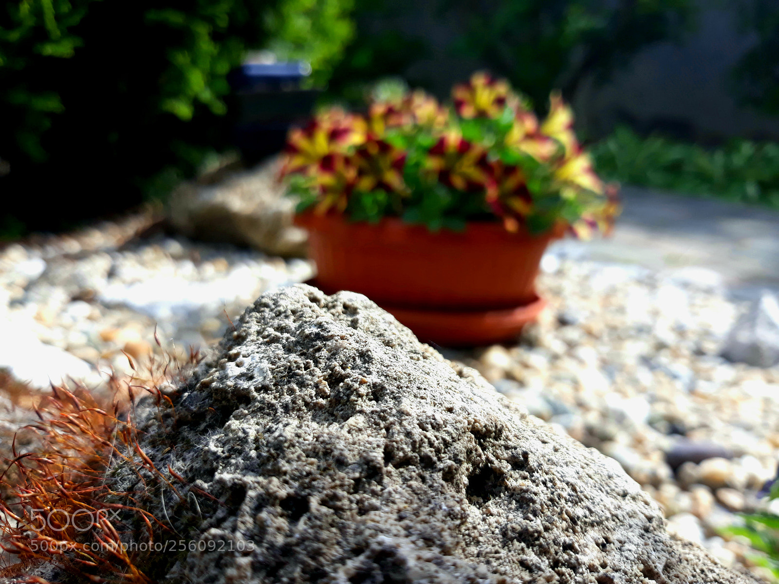 Samsung Galaxy J7 sample photo. Stone photography