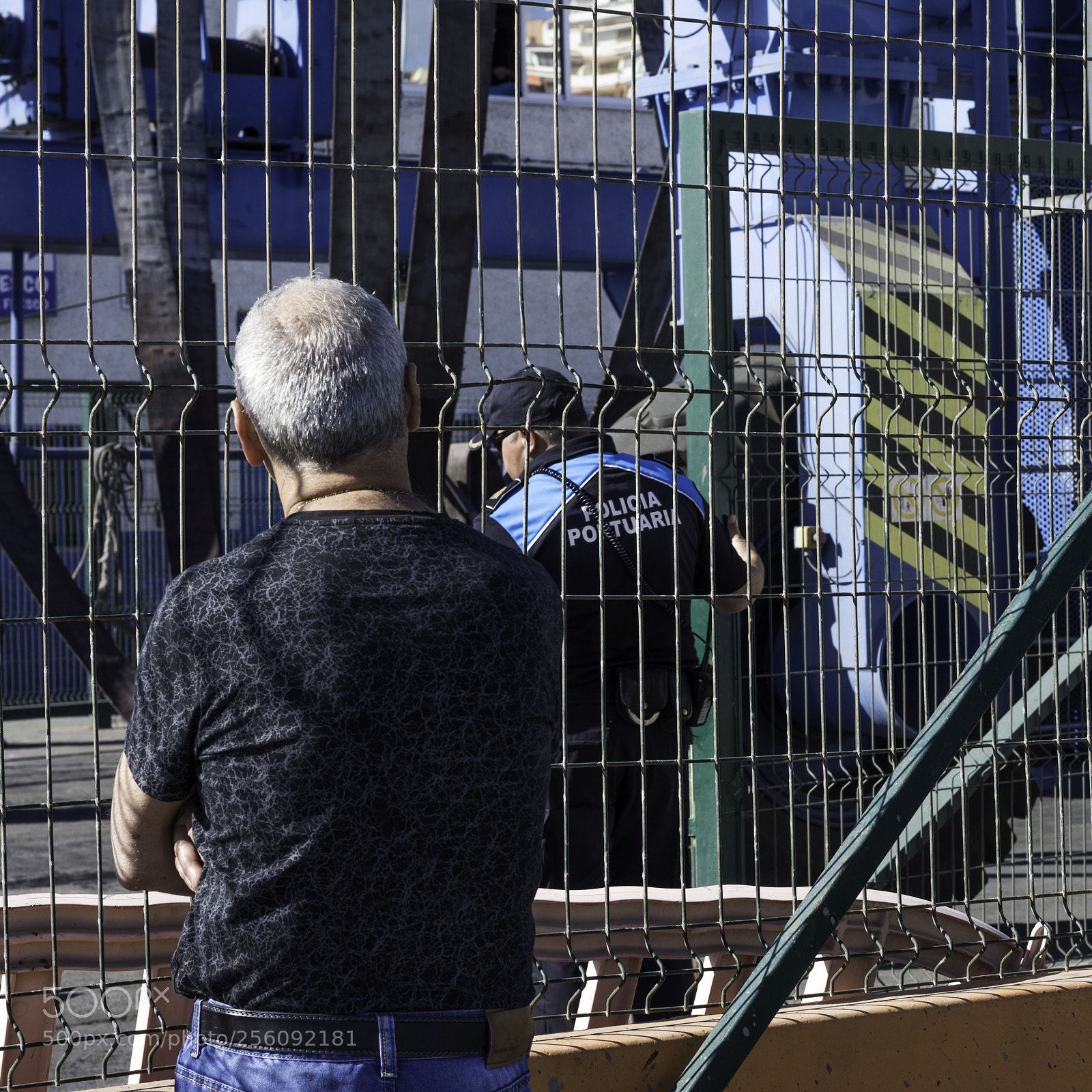 Nikon D7200 sample photo. Observando a la autoridad photography