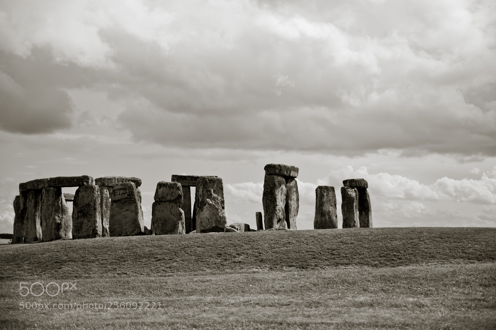 Nikon D7100 sample photo. Untitled photography