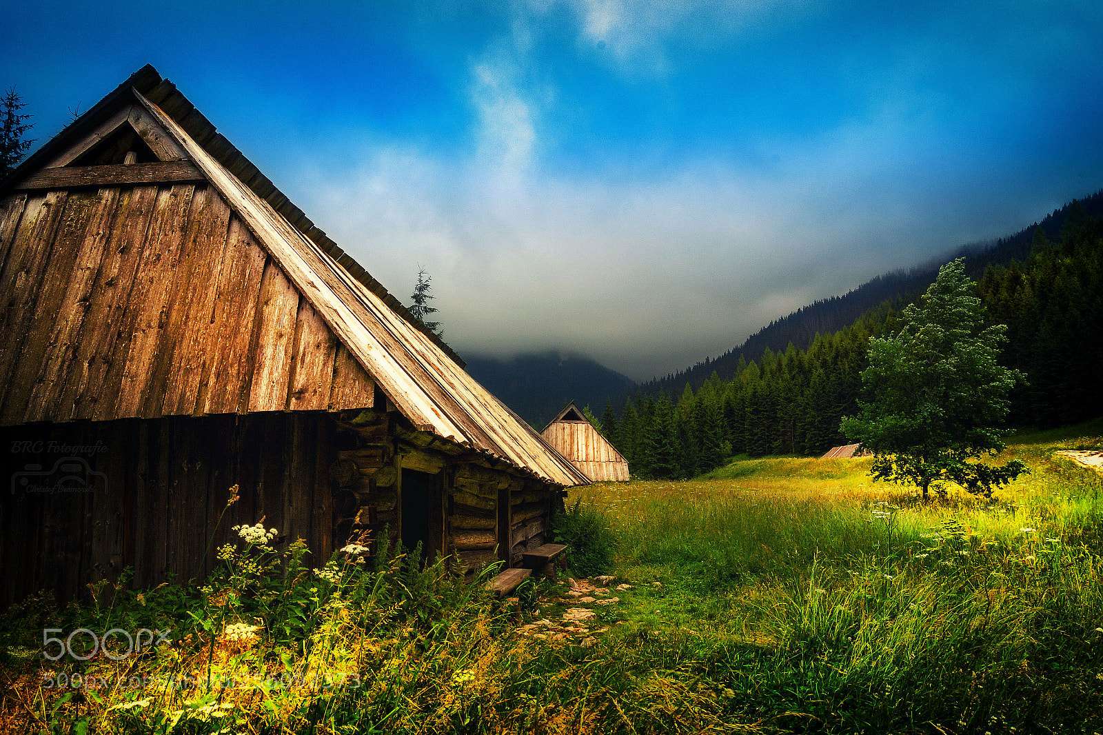 Nikon D3100 sample photo. Hütte in bergen photography