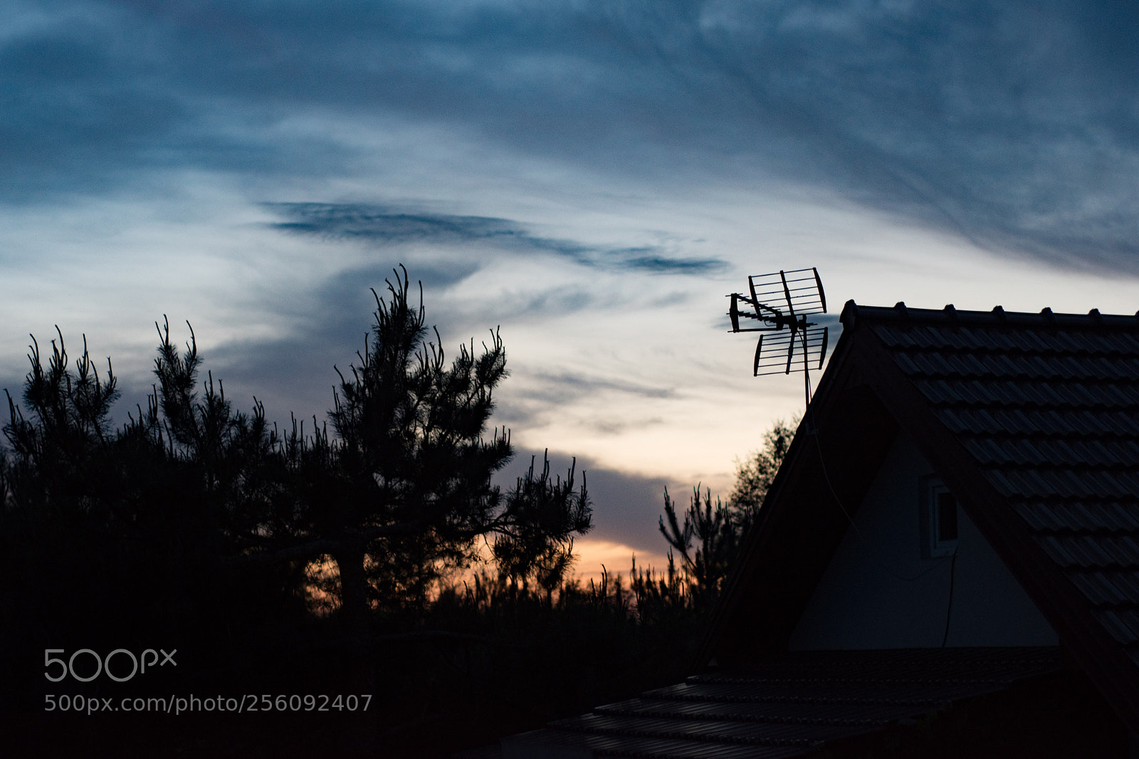 Nikon D5500 sample photo. Sunset photography