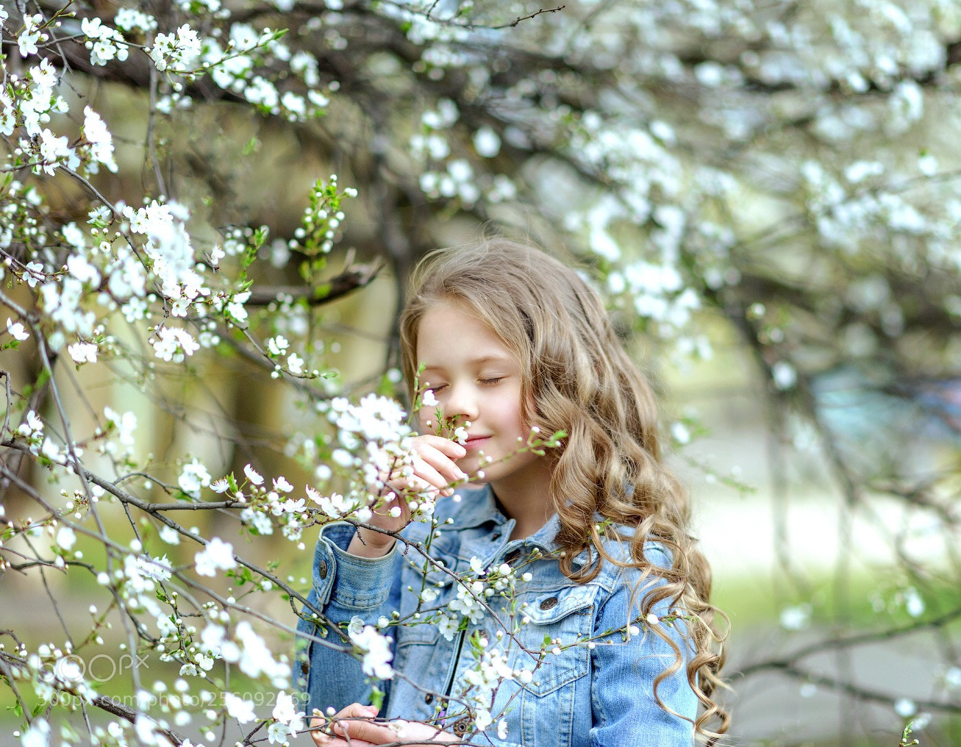 Nikon D810 sample photo. Untitled photography