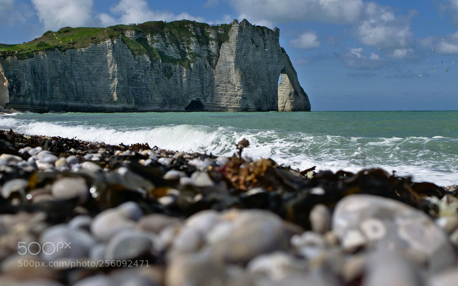 Nikon D5300 sample photo. Etretat photography