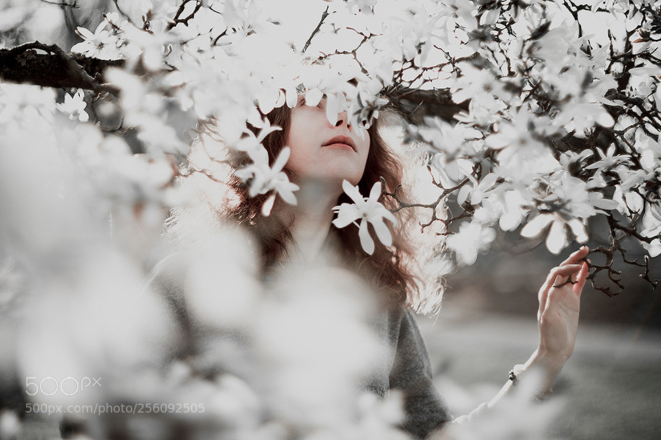 Canon EOS 5D Mark IV sample photo. Magnolias photography