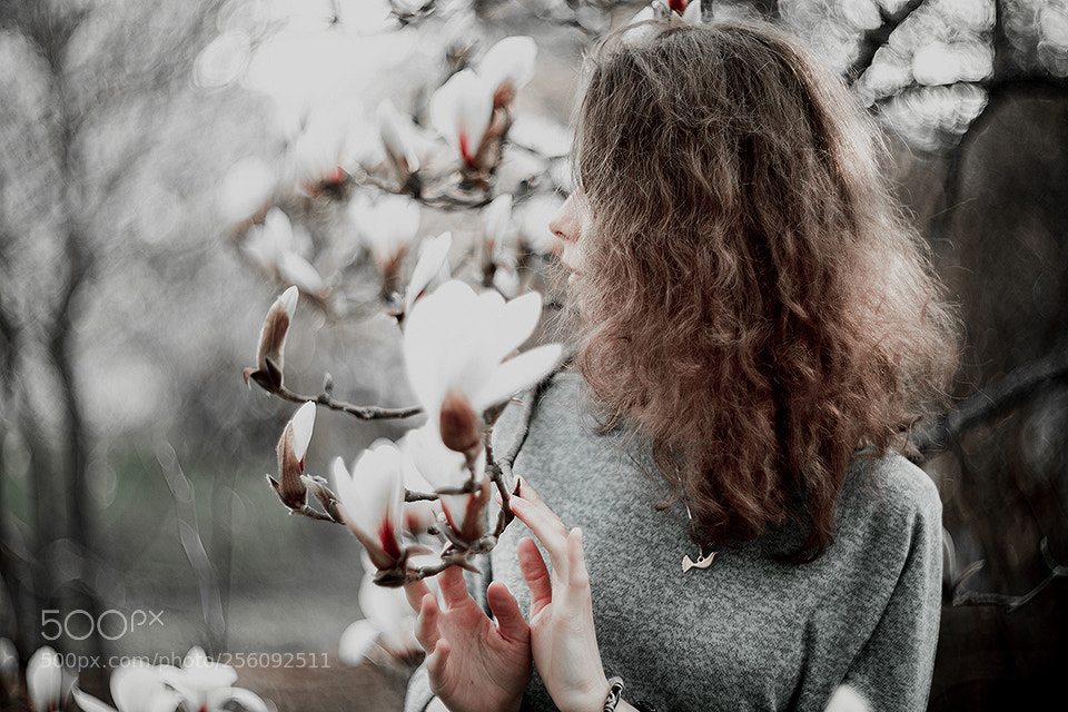 Canon EOS 5D Mark IV sample photo. Magnolias iii photography