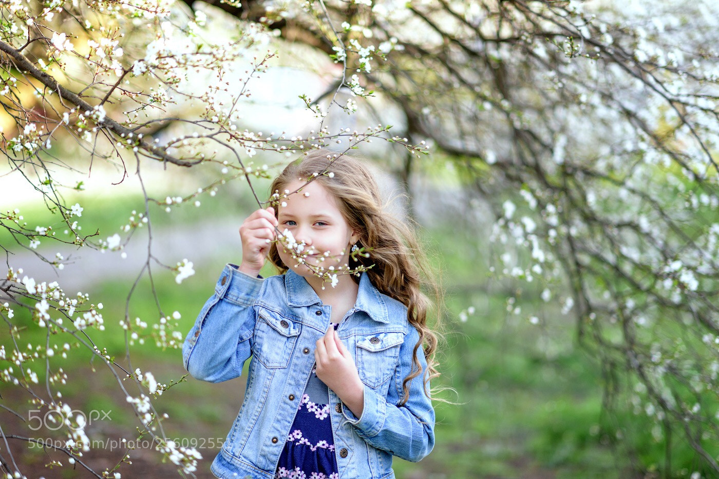 Nikon D810 sample photo. Untitled photography