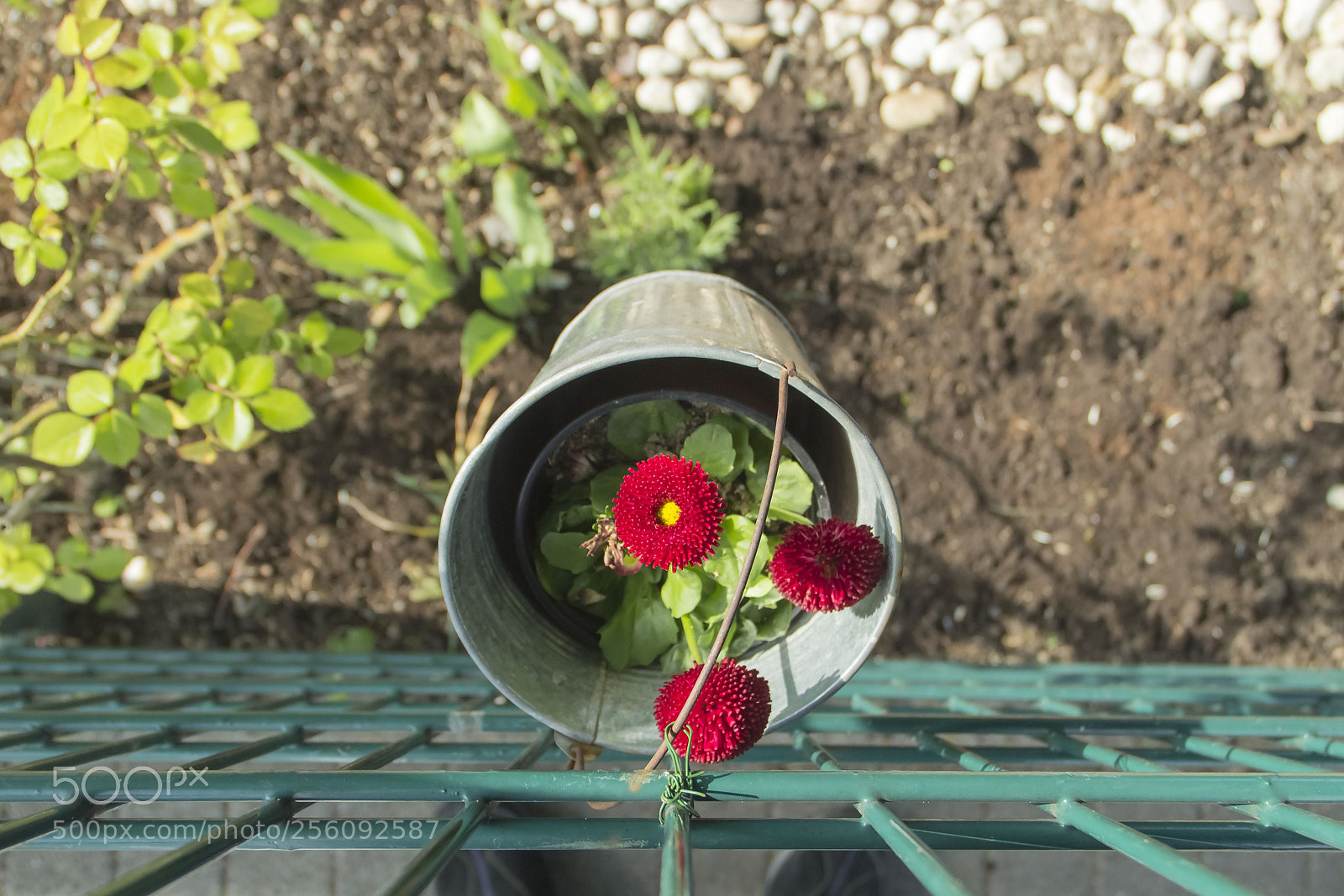 Canon EOS 600D (Rebel EOS T3i / EOS Kiss X5) sample photo. Spring in a kindergarten photography