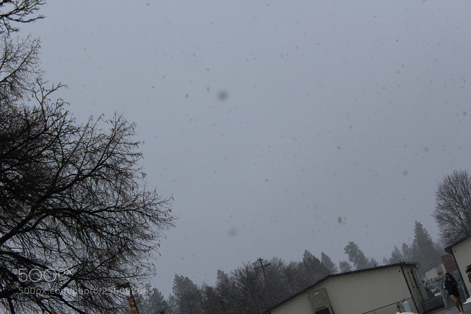 Canon EOS 1200D (EOS Rebel T5 / EOS Kiss X70 / EOS Hi) sample photo. Snowy day photography