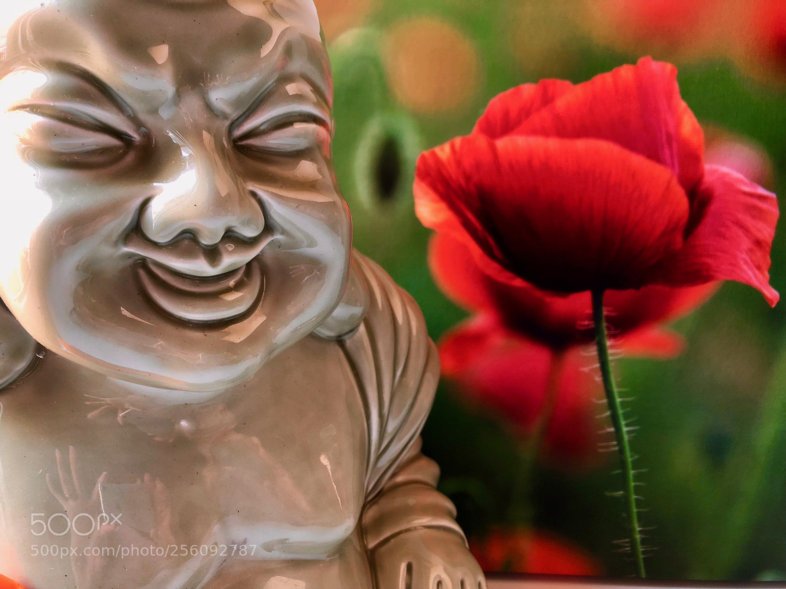 Apple iPhone 8 sample photo. Zen photography