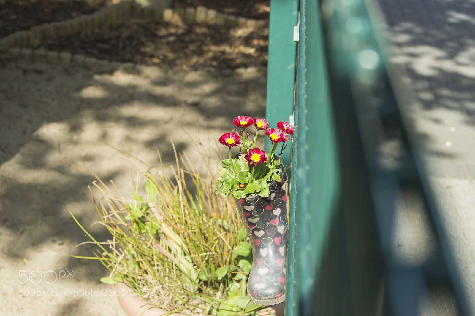Canon EOS 600D (Rebel EOS T3i / EOS Kiss X5) sample photo. Spring in the kindergarten 3 photography