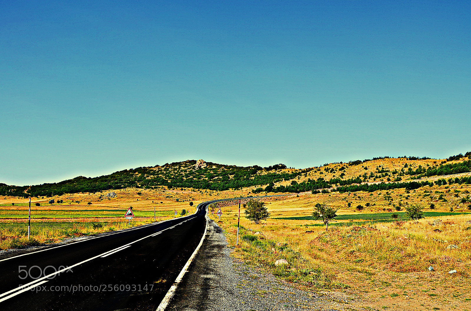 Nikon D5100 sample photo. Road photography