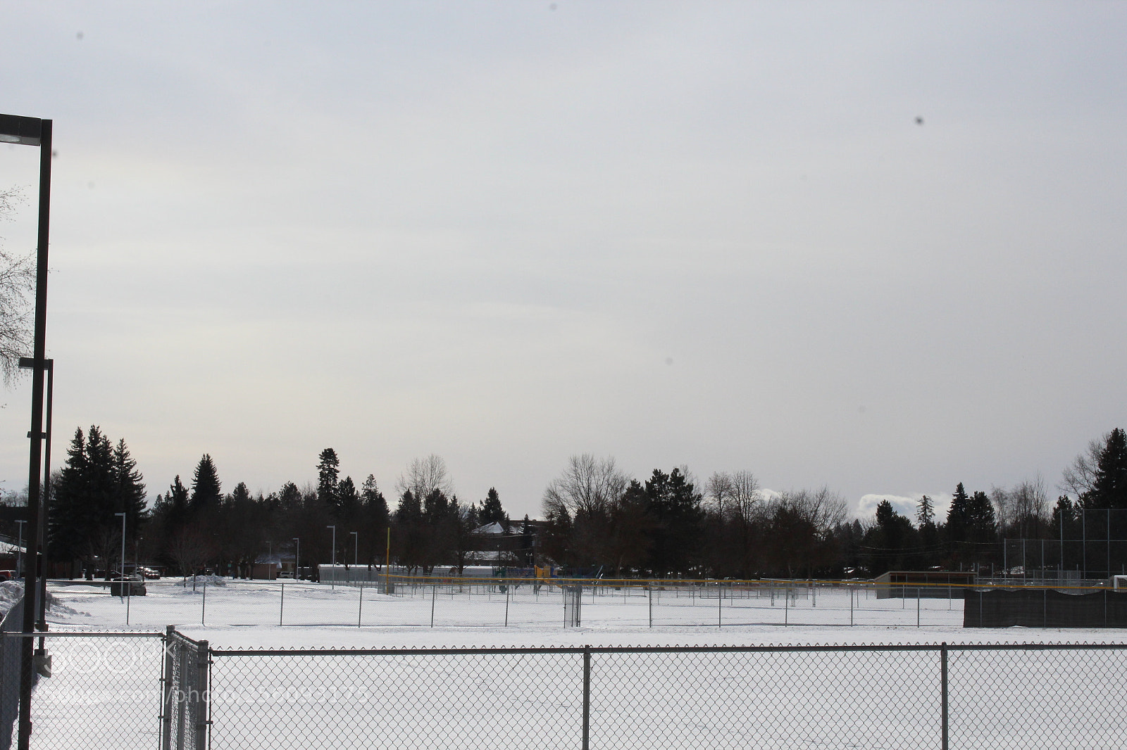 Canon EOS 1200D (EOS Rebel T5 / EOS Kiss X70 / EOS Hi) sample photo. Gray skys photography