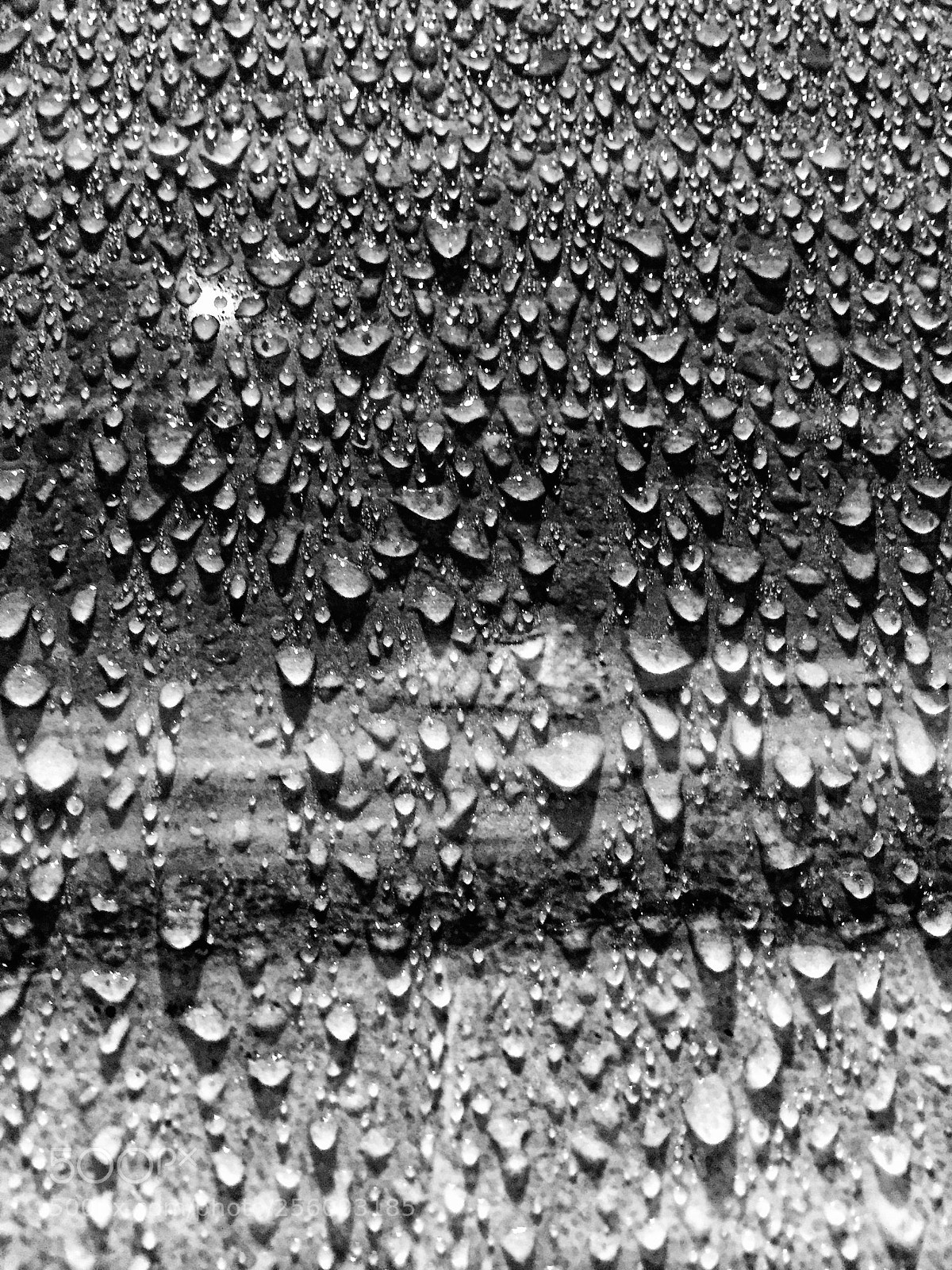 Apple iPhone 6 sample photo. Untitled photography