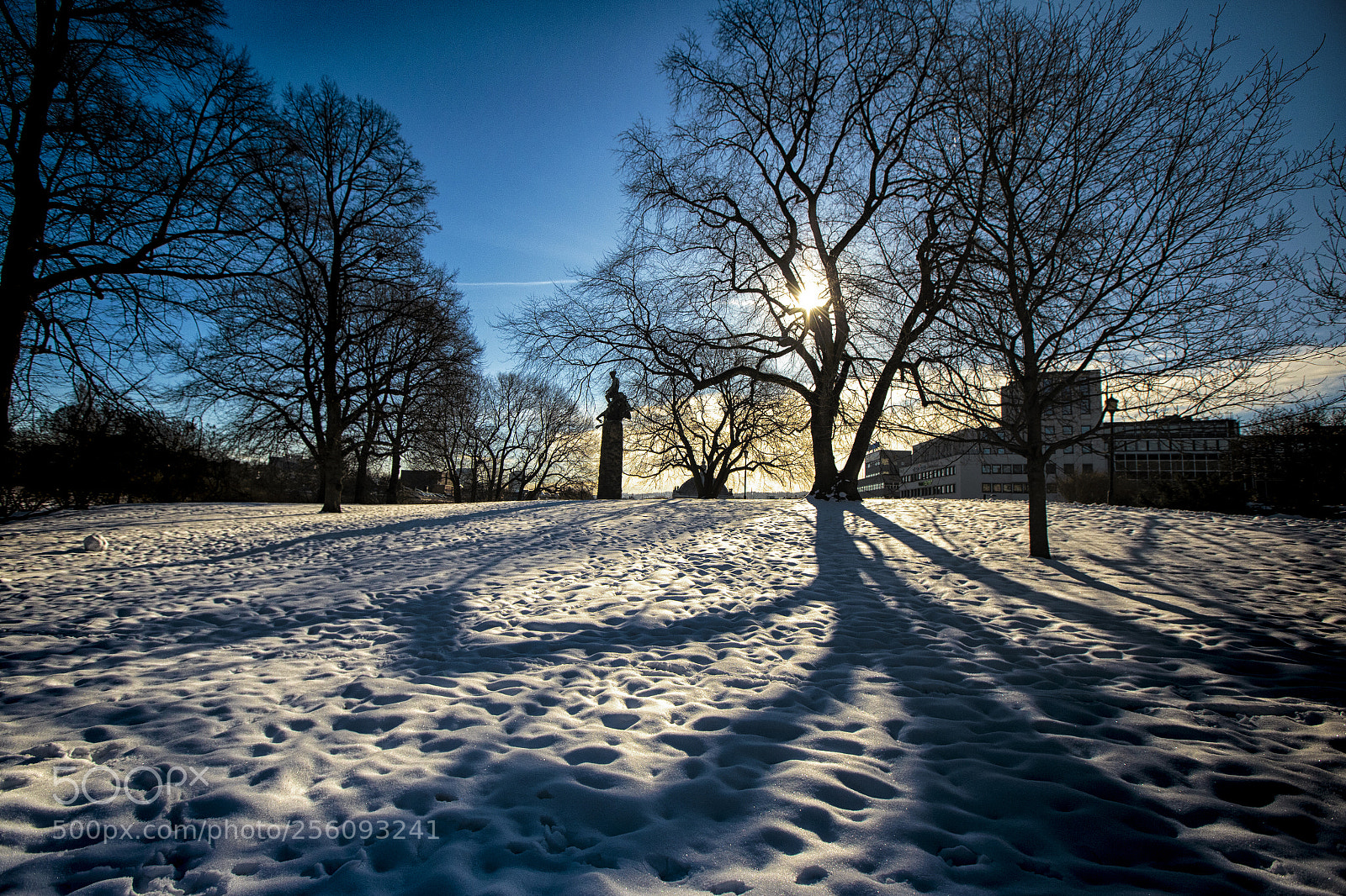 Canon EOS 6D sample photo. Sun, snow and shadows photography