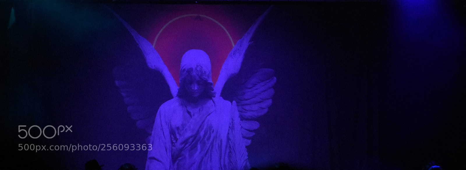 Nikon D7200 sample photo. Angel photography