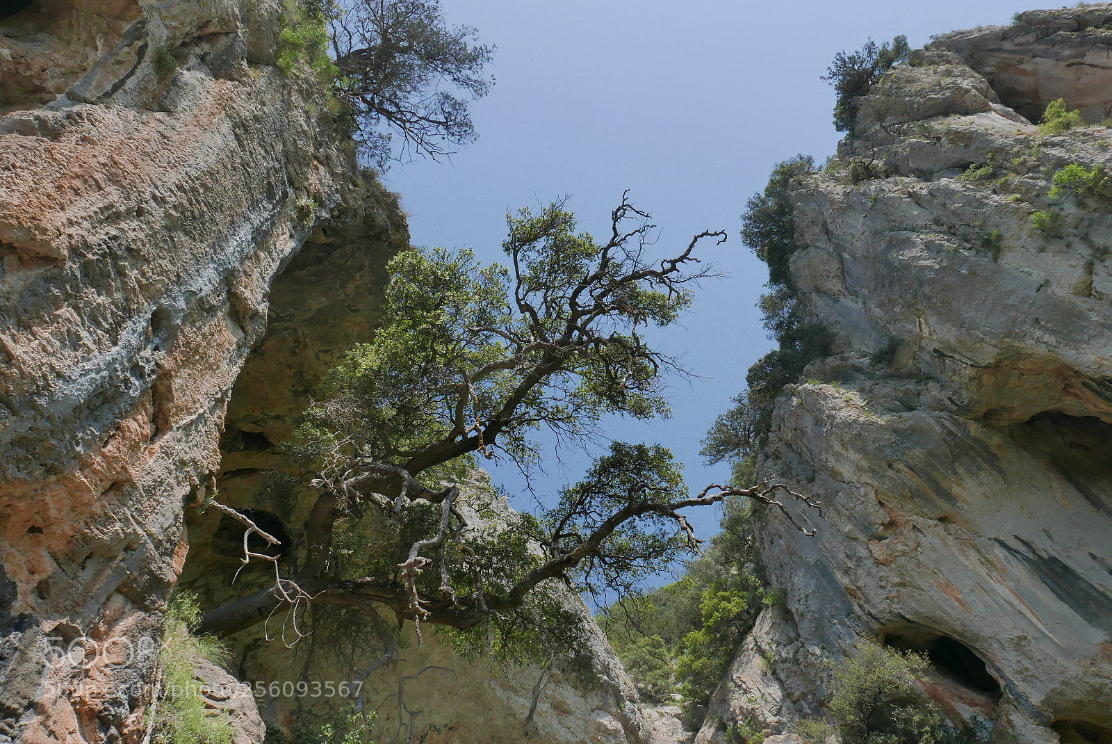 Panasonic Lumix DMC-LX100 sample photo. Άγιοι Θεόδωροι photography