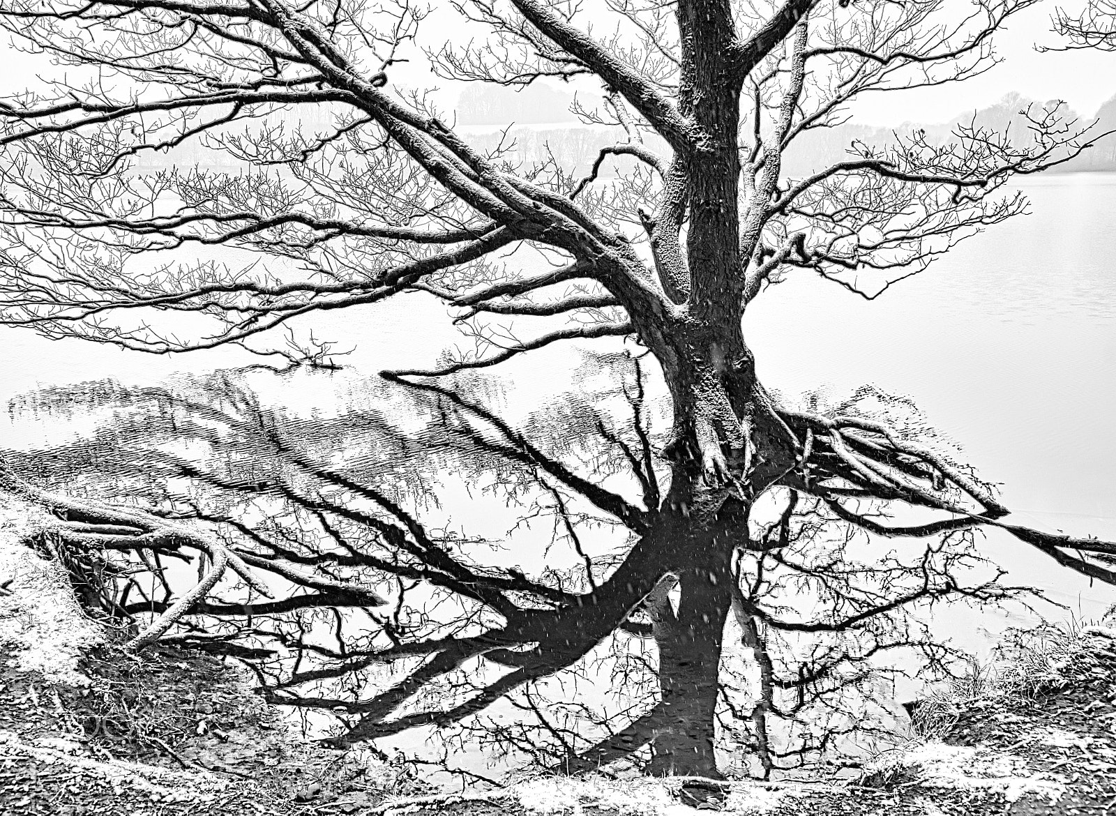 Nikon AF-S Nikkor 24-120mm F4G ED VR sample photo. B&w drama photography