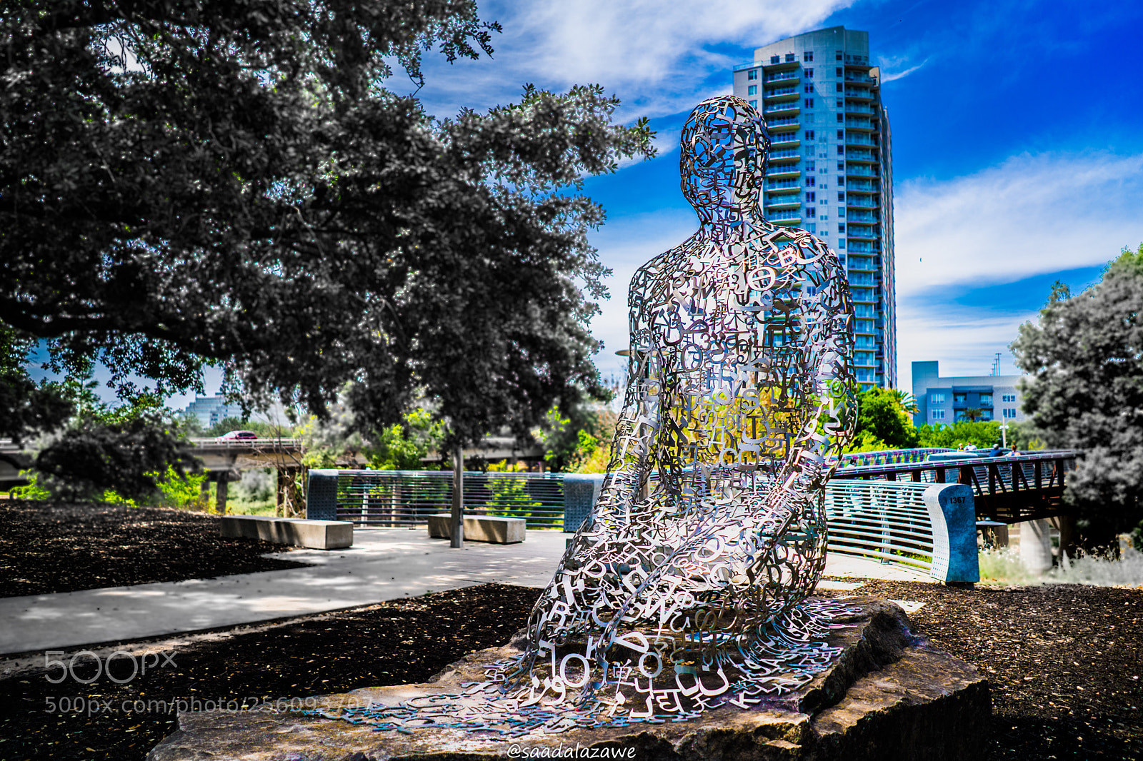 Sony a7 III sample photo. Alpha male buffalo bayou photography