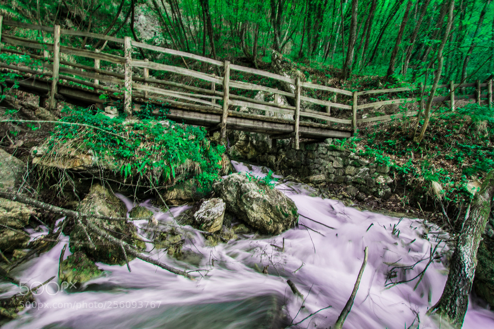 Nikon D610 sample photo. Bridge photography