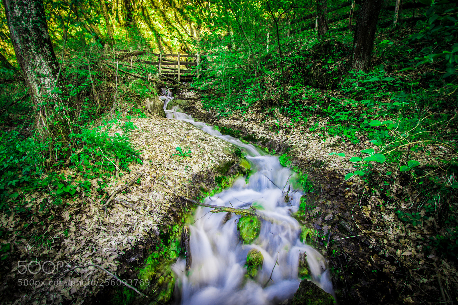 Nikon D610 sample photo. River photography