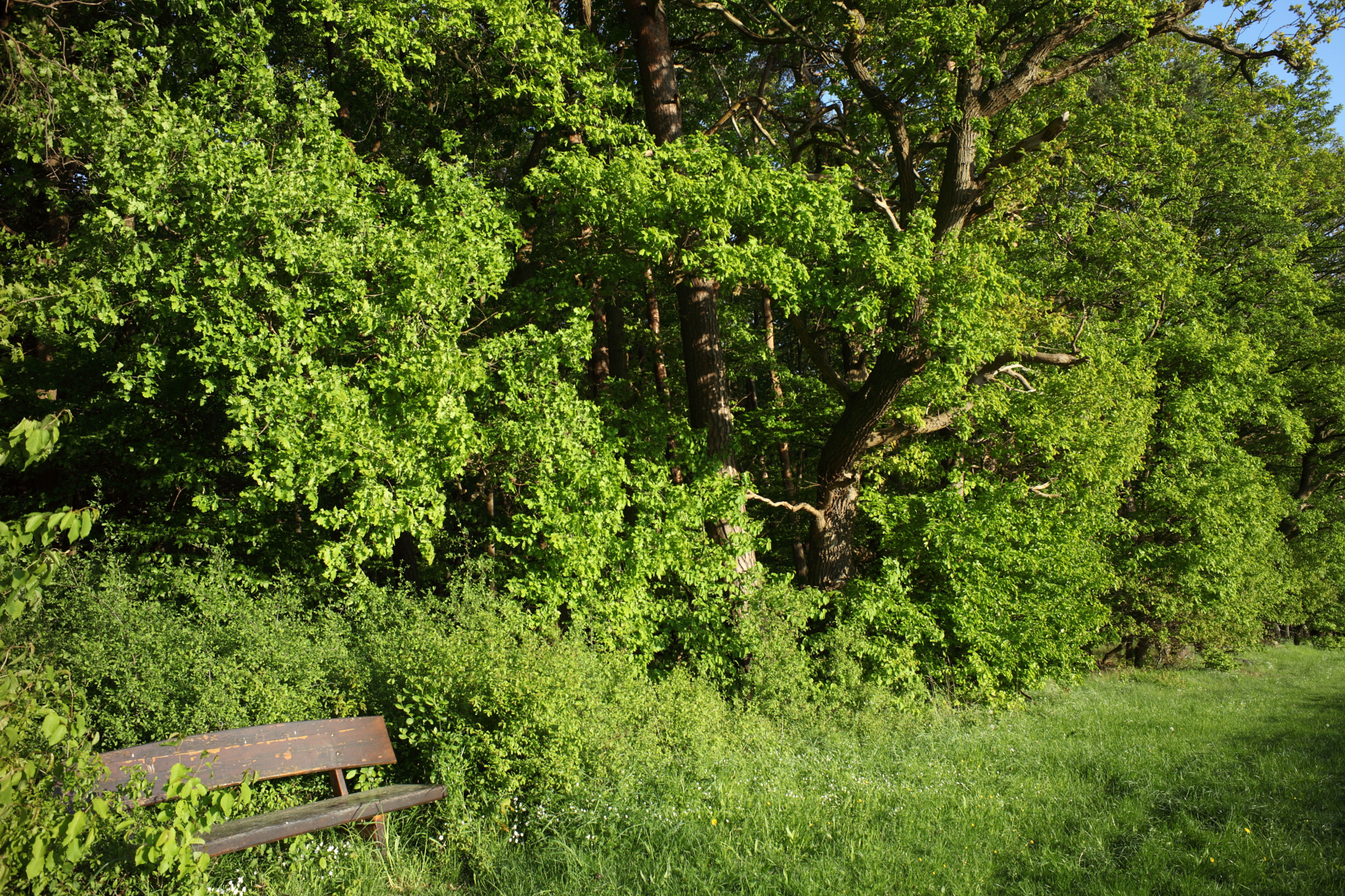 Canon EF 35-80mm f/4-5.6 sample photo. The bench photography