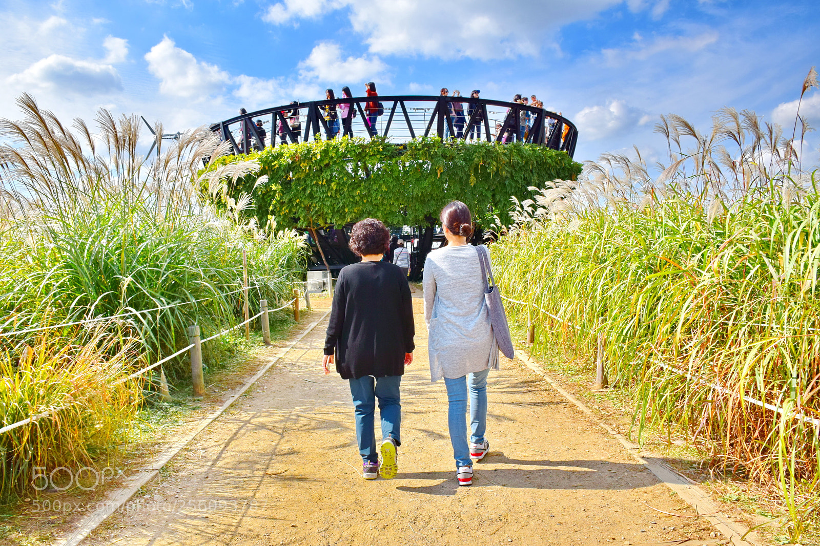 Nikon D5300 sample photo. Jpg photography