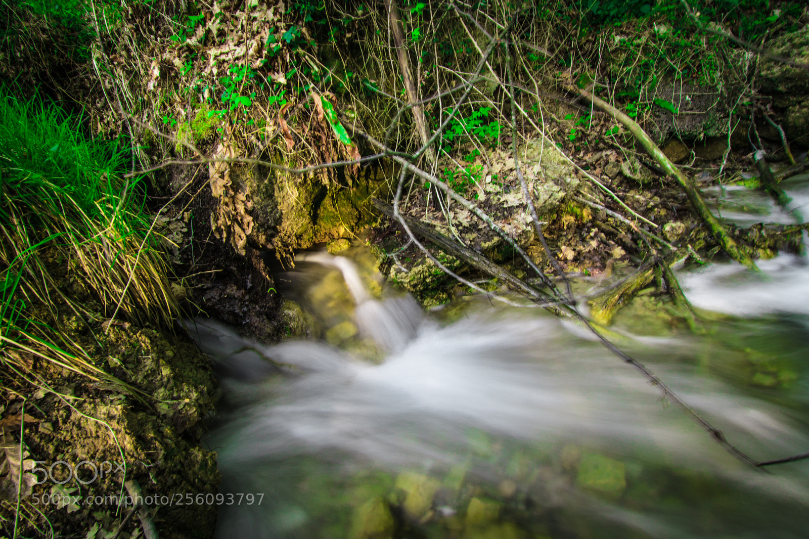 Nikon D610 sample photo. Where the river begin photography