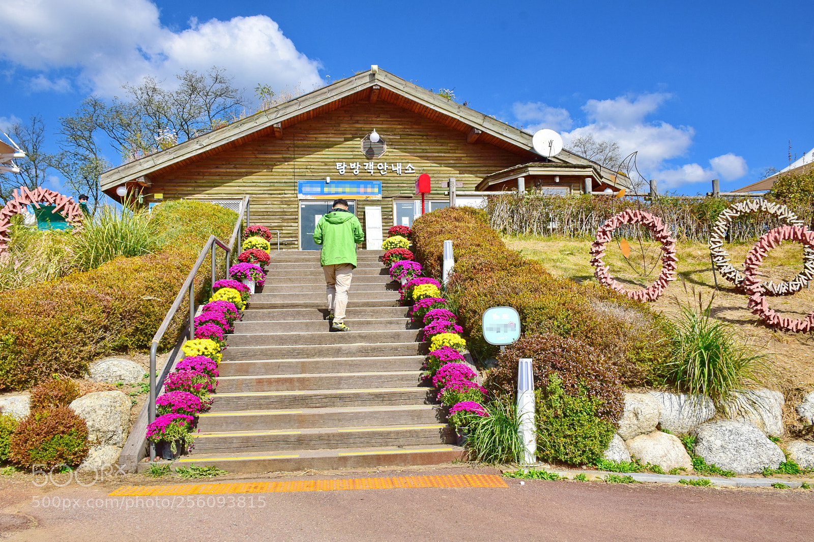 Nikon D5300 sample photo. Jpg photography